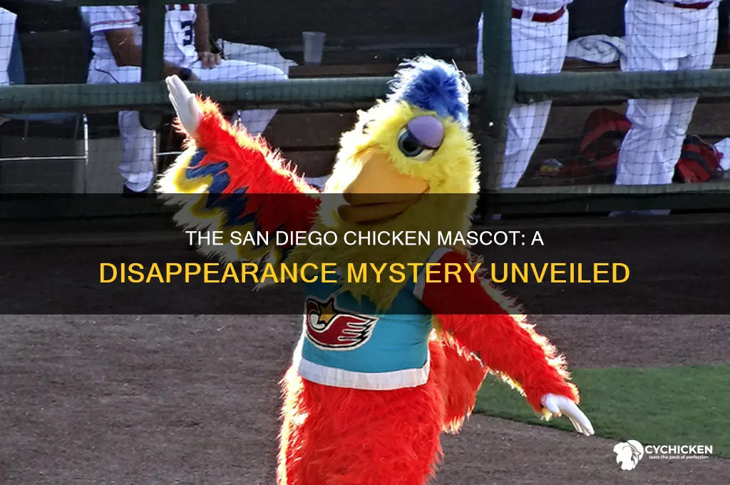 what happened to the san diego chicken mascot