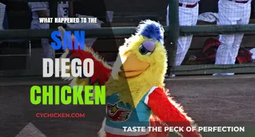 The San Diego Chicken's Disappearance: Unraveling the Mystery Behind the Iconic Mascot