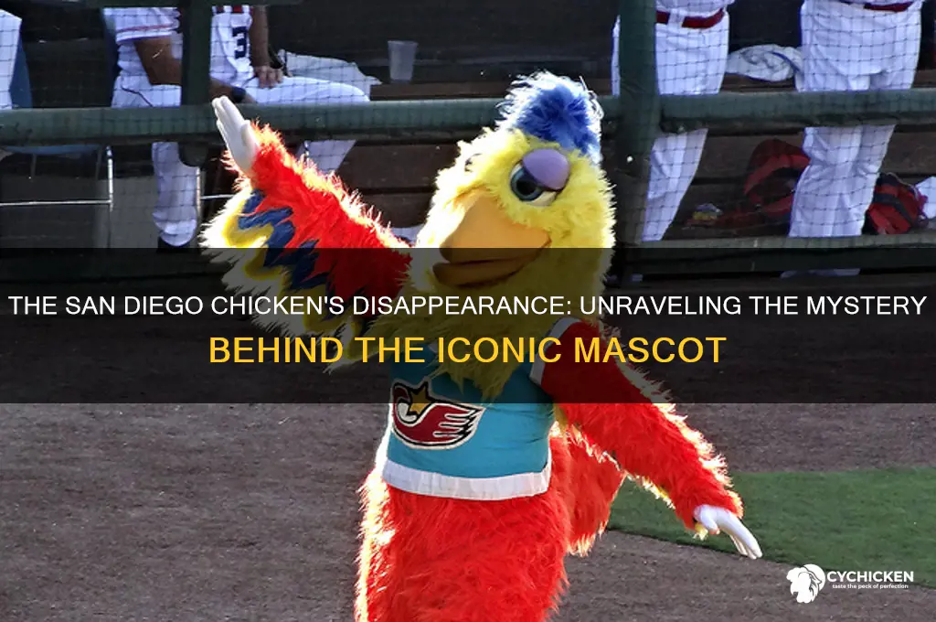 what happened to the san diego chicken
