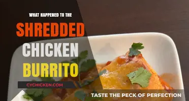 The Mysterious Disappearance of the Shredded Chicken Burrito: What Happened?