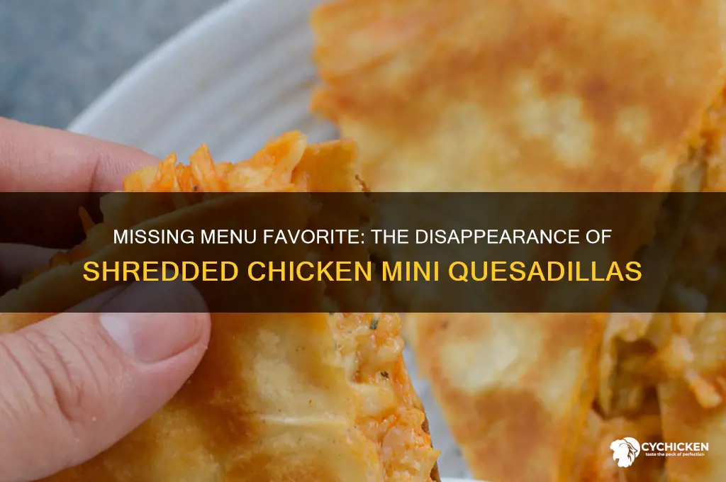 what happened to the shredded chicken mini quesadilla