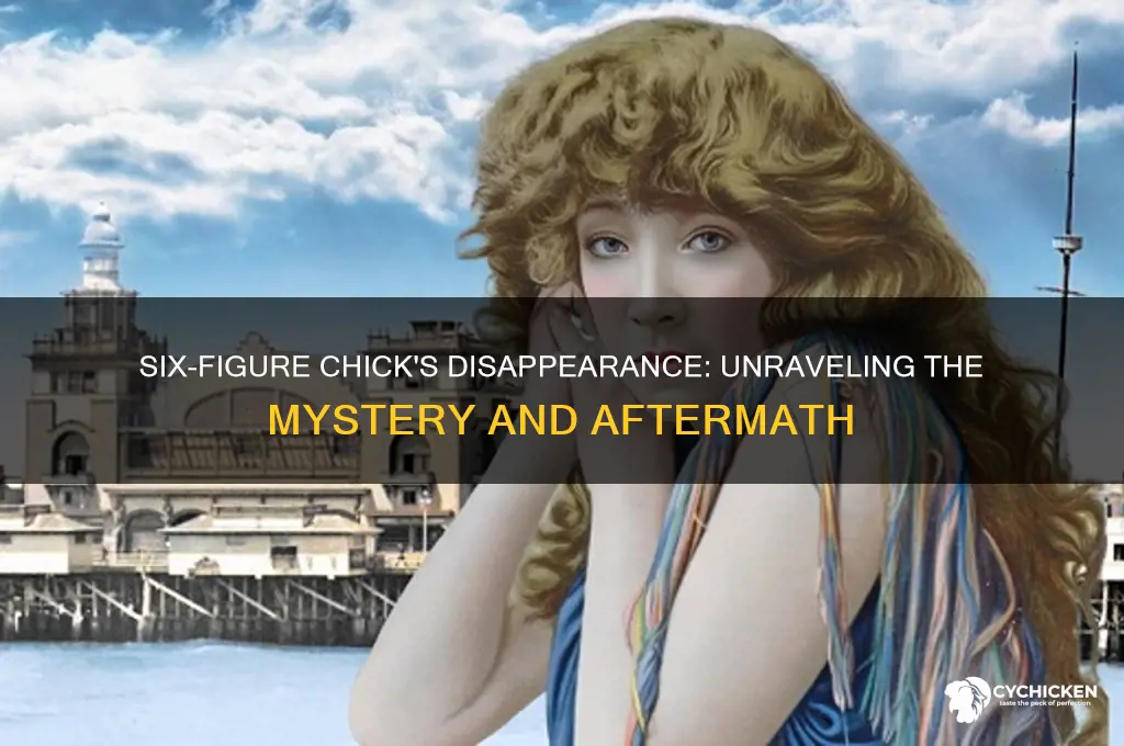 what happened to the six figure chick