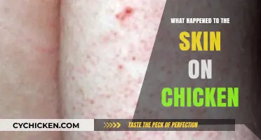 Why Modern Chicken Skin Differs from What It Used to Be