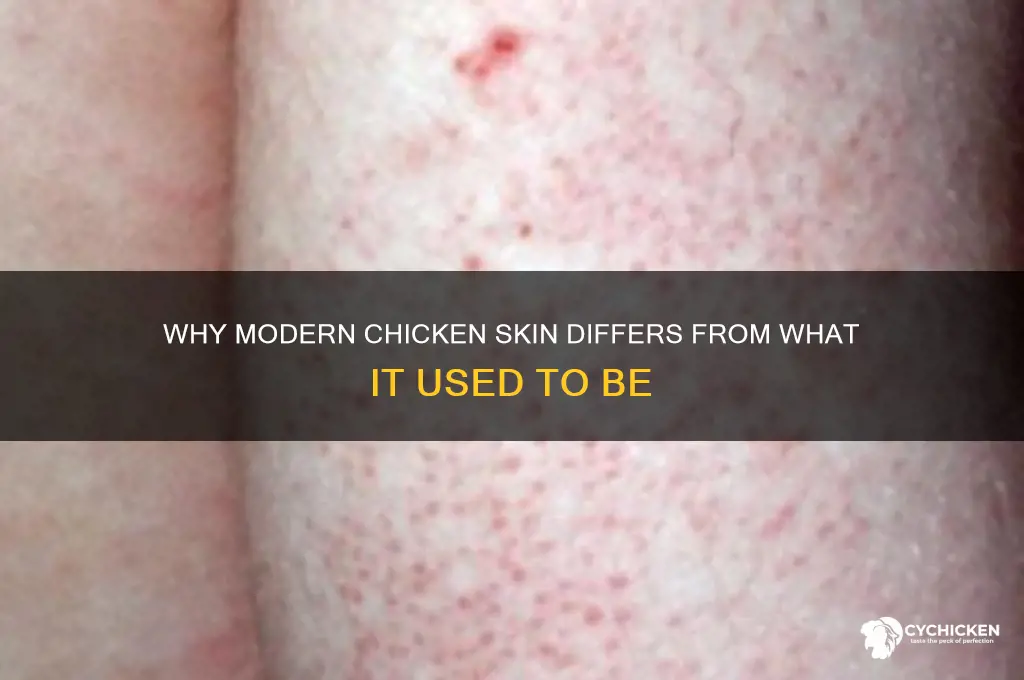 what happened to the skin on chicken