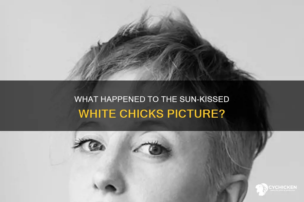 What Happened To The SunKissed White Chicks Picture? CyChicken