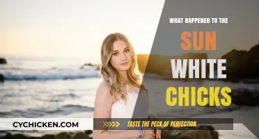 What Happened to the Sun-Kissed Look in 'White Chicks'?