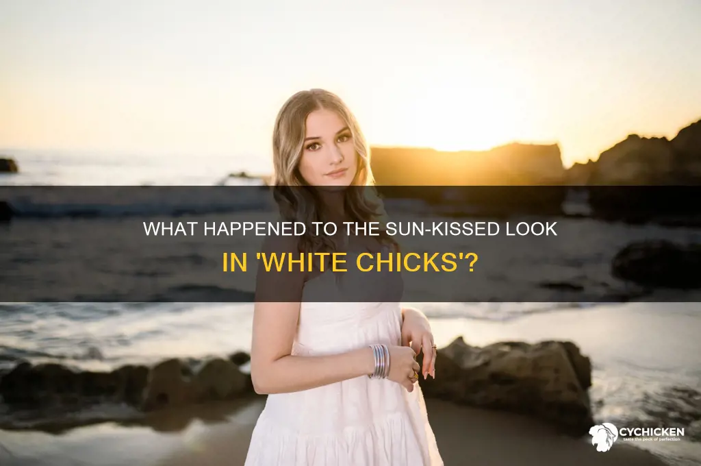 what happened to the sun white chicks