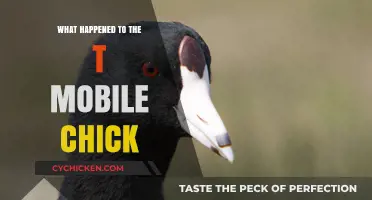 What Happened to the T-Mobile Chick: Uncovering Her Disappearance