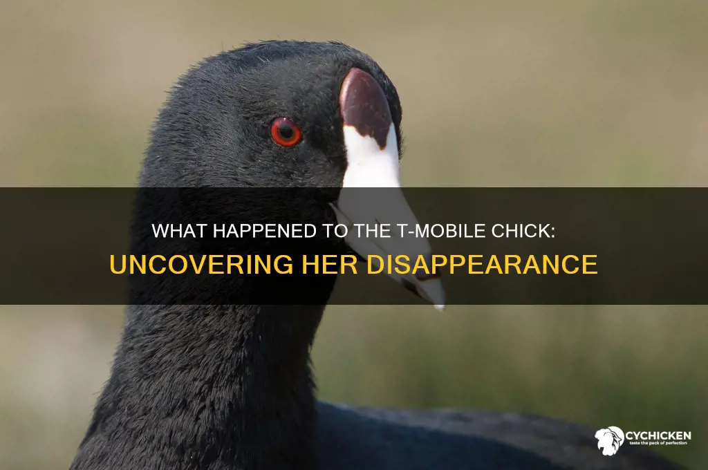 what happened to the t mobile chick