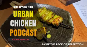 Urban Chicken Podcast's Sudden Disappearance: What Really Happened?
