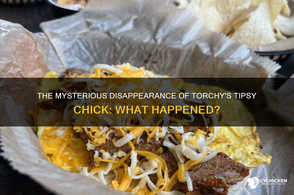 what happened to torchy