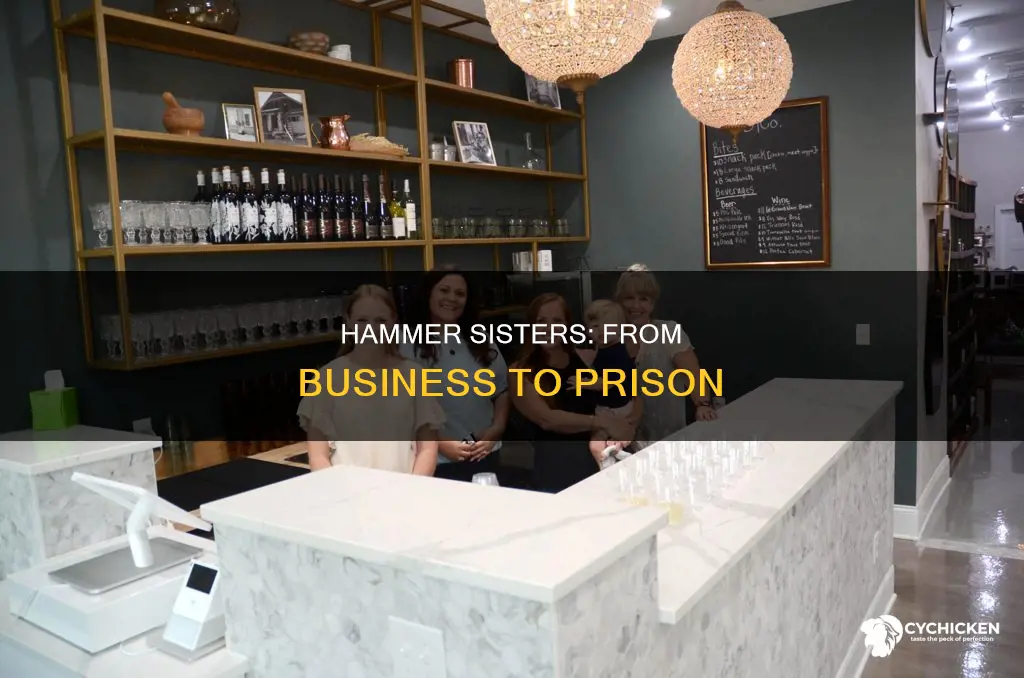 what happened to two chicks and a hammer business