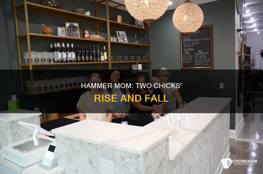 what happened to two chicks and a hammer mom