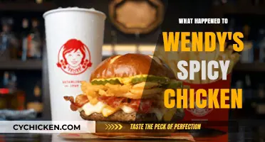 Wendy's Spicy Chicken: The Disappearance and Fan Outcry Explained