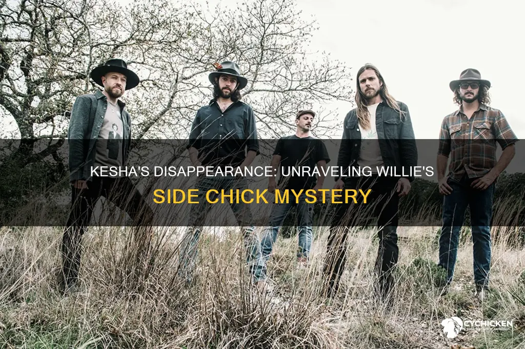 what happened to willie side chick kesha