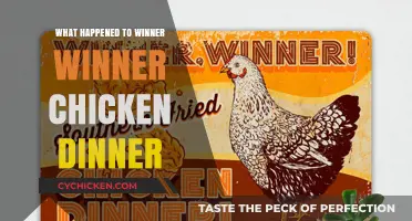 Winner Winner Chicken Dinner: The Rise, Fall, and Legacy Explained