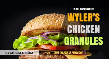 Wyler's Chicken Granules: The Disappearance and Consumer Nostalgia Explained