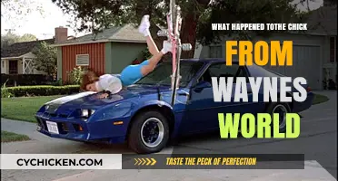 Whatever Happened to Wayne's World's Iconic Chick?