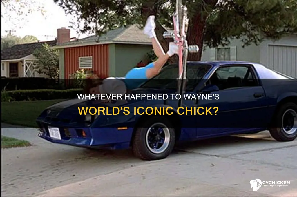 what happened tothe chick from waynes world