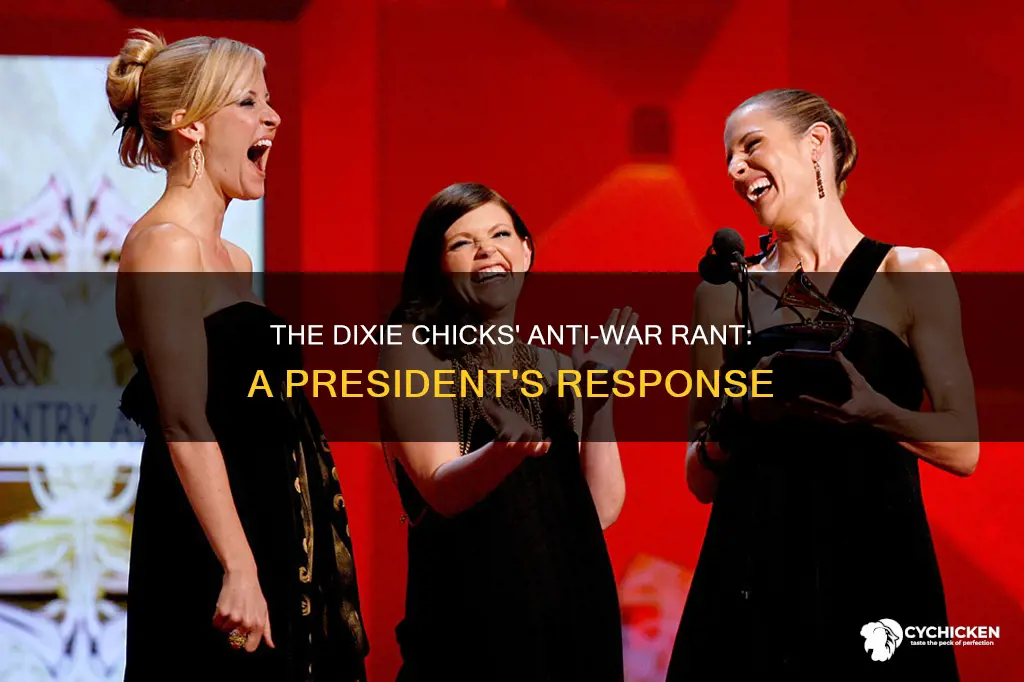 what happened with the dixie chicks and the president
