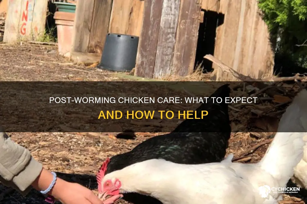 what happens after you worm a chicken
