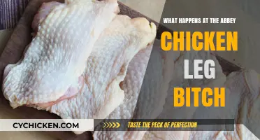 Unveiling the Secrets: Abbey Chicken Leg Bitch Explained