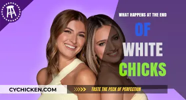 White Chicks' Finale: Unraveling the Hilarious and Unexpected Conclusion