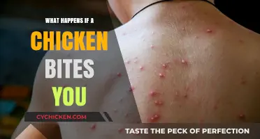 Chicken Bites: Understanding Risks, Symptoms, and Treatment for Poultry Injuries