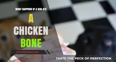 Chicken Bone Consumption: Risks and Dangers for Dogs