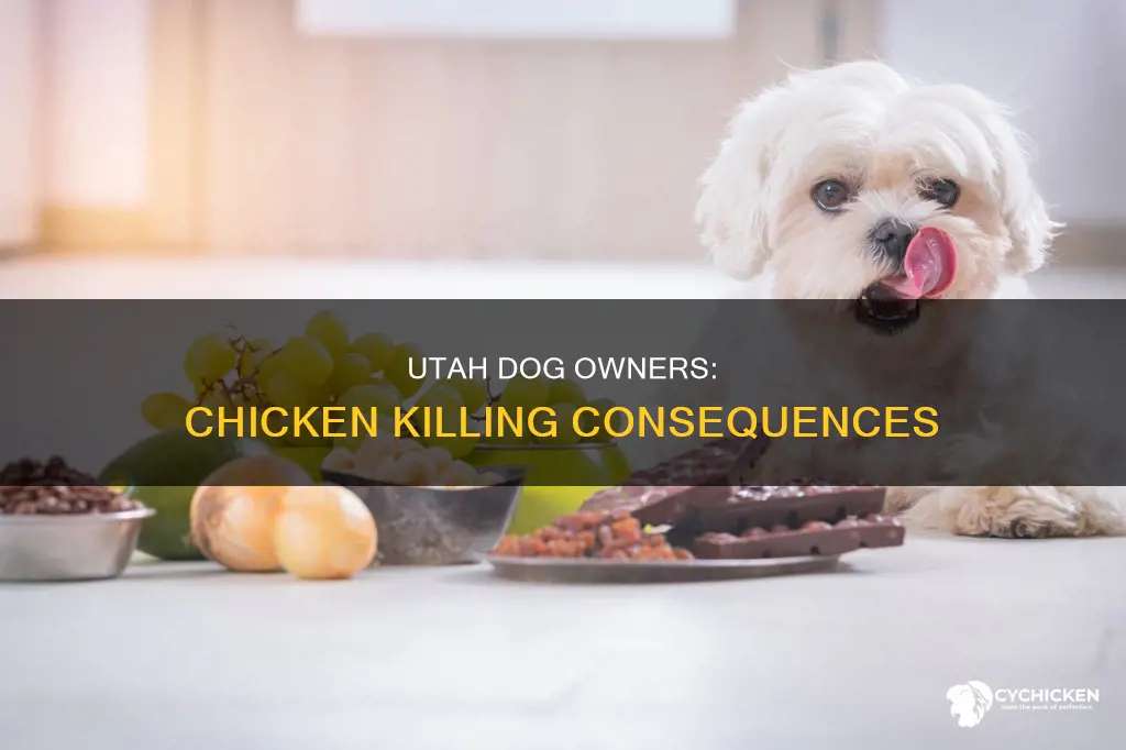 what happens if a dog kills a chicken in utah
