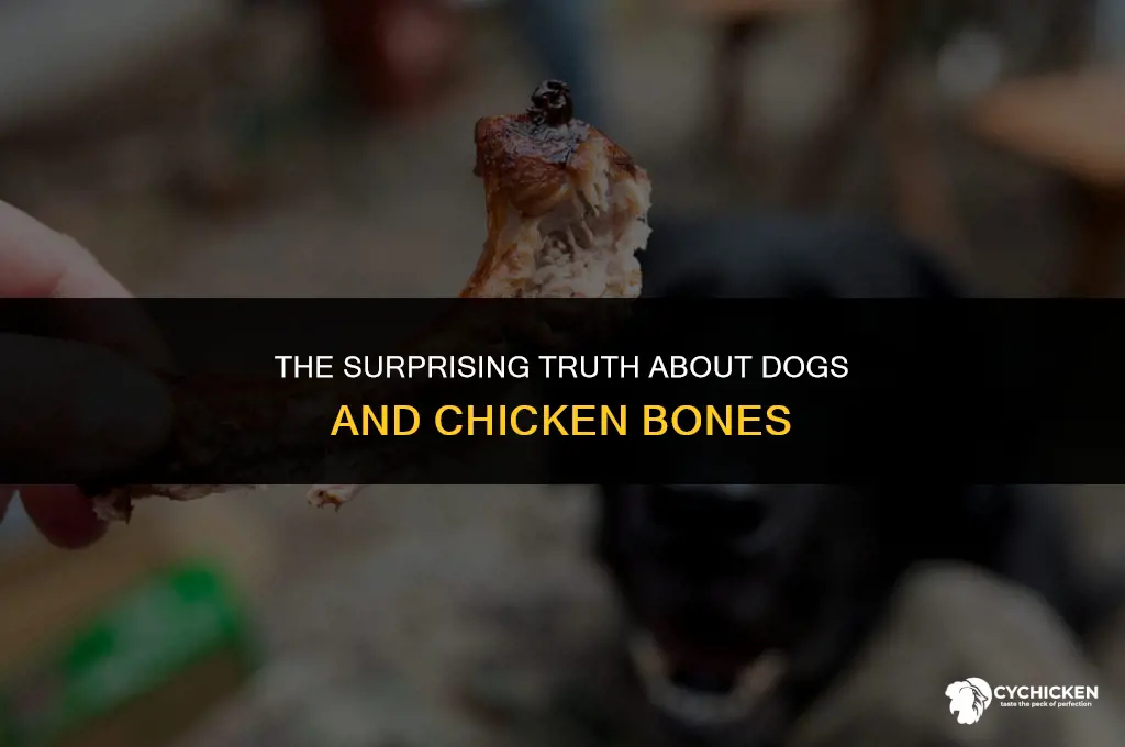 what happens if a dog swallows a chicken bone whole