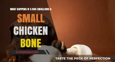 Can Dogs Pass Chicken Bones?