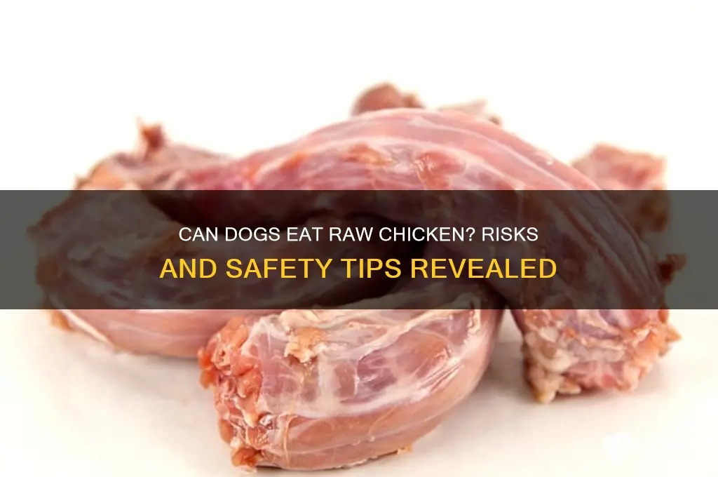 what happens if a dos eatts raw chicken