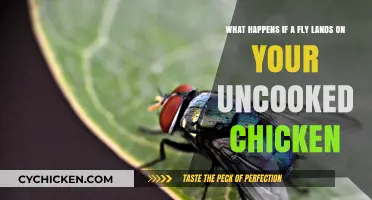 Uncooked chicken: What to do if flies land on it?