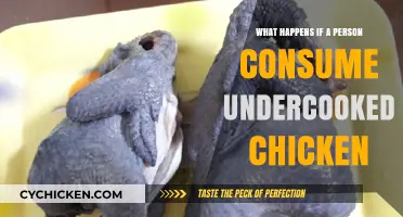 Undercooked Chicken Risks: Health Hazards and Prevention Tips