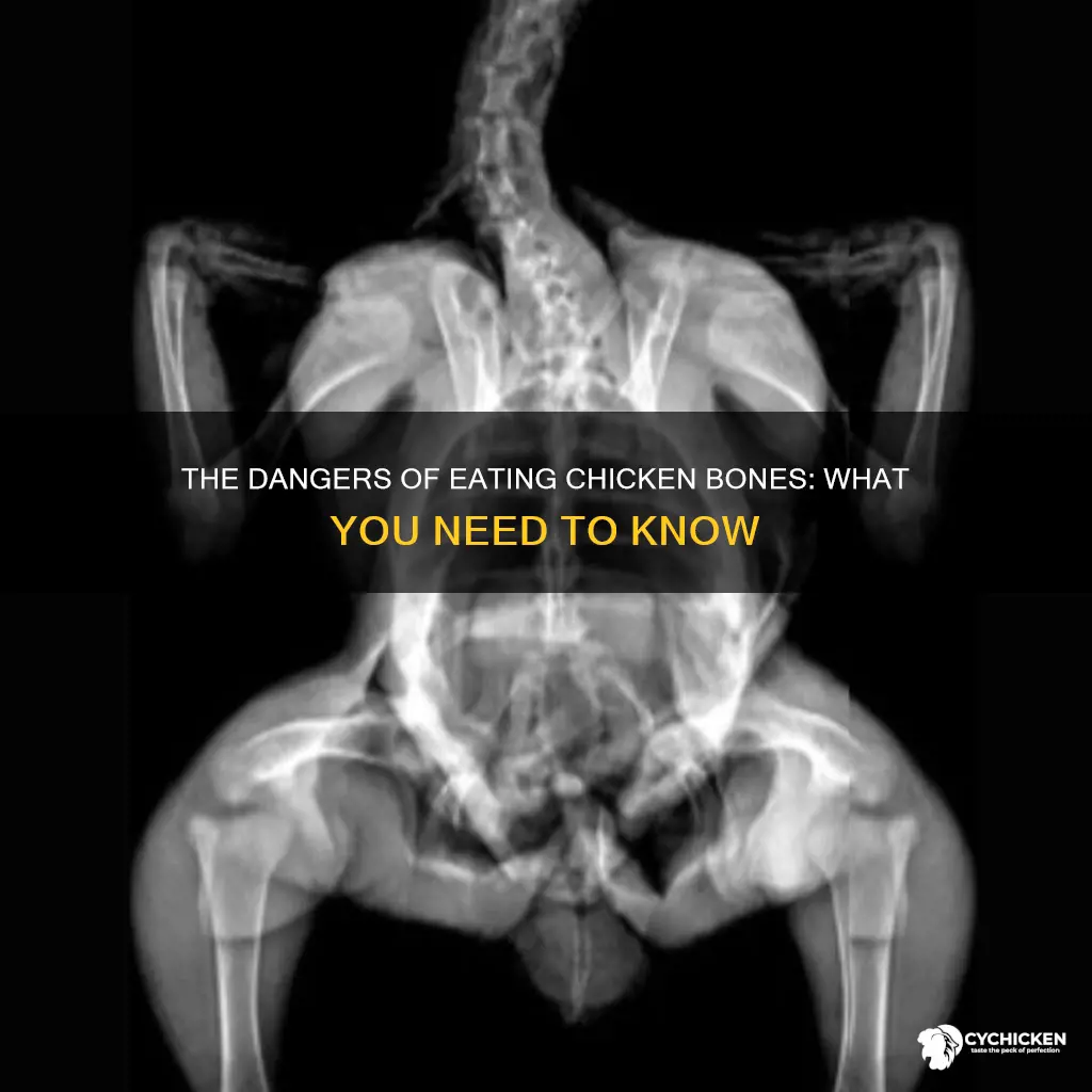 what happens if a person eqts a chicken bone