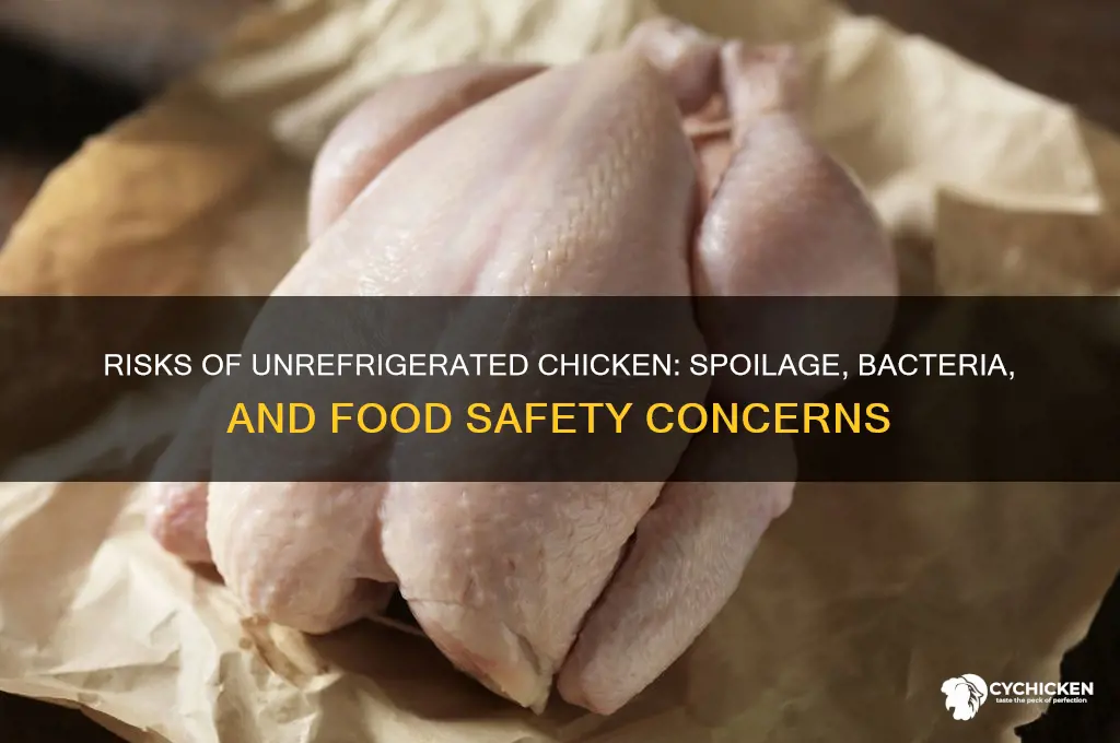 what happens if chicken is not refrigerated
