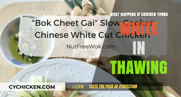 Why Chicken Turns White While Thawing: Causes and Safety Tips
