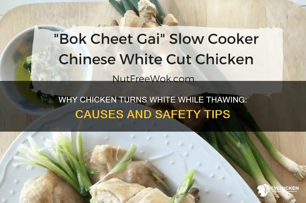 what happens if chicken turns white in thawing