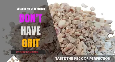 Chicks Without Grit: Understanding the Impact on Their Health and Growth