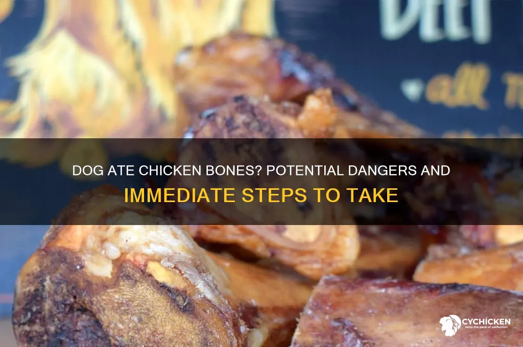 what happens if dog ate chicken bones