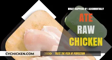 Accidentally Ate Raw Chicken? Symptoms, Risks, and What to Do Next