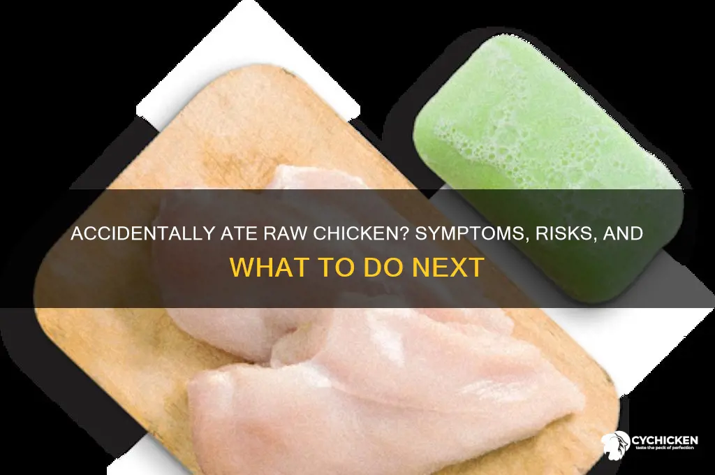 what happens if i accidentally ate raw chicken