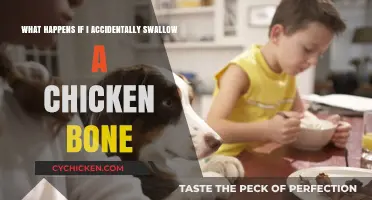 Swallowed a Chicken Bone: What to Expect and Do