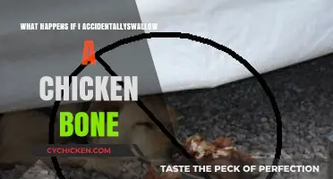 Accidentally Swallowed a Chicken Bone? Here’s What to Expect