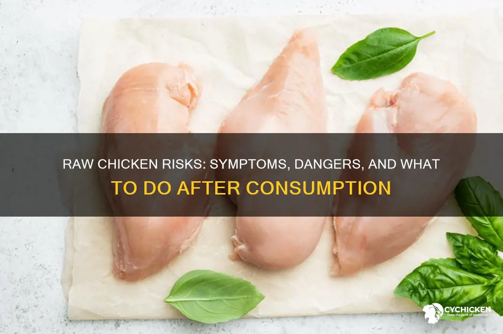 what happens if i ate raw chicken