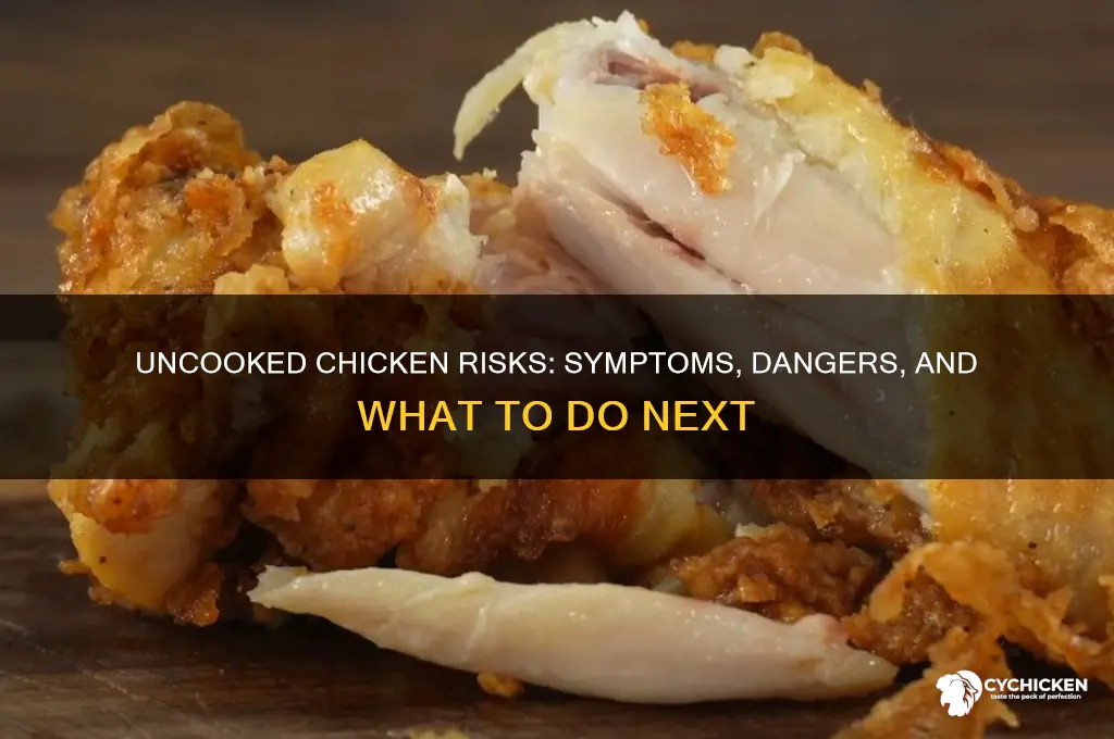 what happens if i ate uncooked chicken