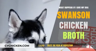 Is Swanson Chicken Broth Safe for My Dog?