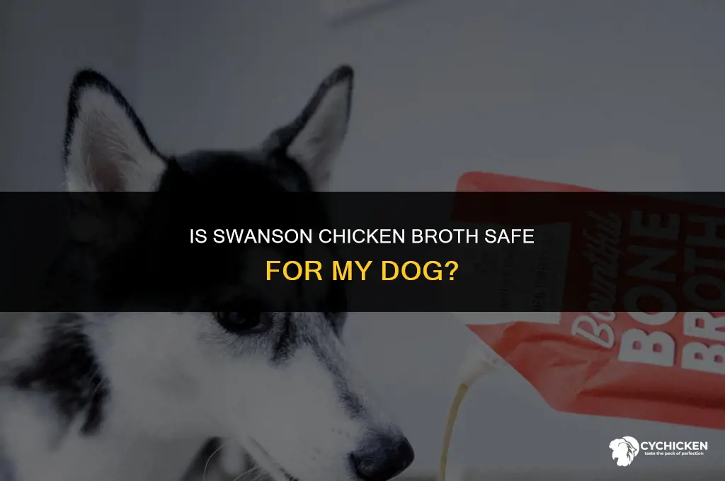 what happens if i give my dog swanson chicken broth