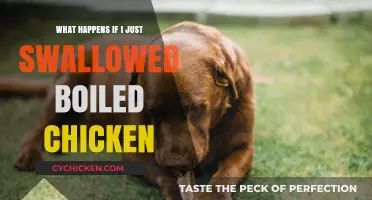 Swallowed Boiled Chicken: Potential Risks and What to Expect